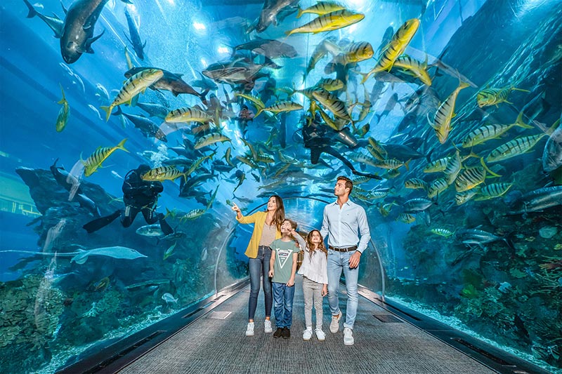 Dubai Aquarium in Dubai mall