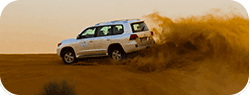 Desert Safari Tours